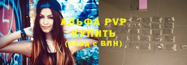 прущие грибы Богородицк