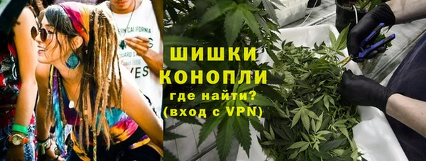 прущие грибы Богородицк