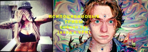 прущие грибы Богородицк